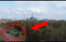 Dziwne zwierzę zaobserwowane w Czarnobylu