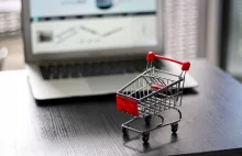 E-commerce to już jedna dziesiąta wartości polskiego handlu. 11 milionów Polaków