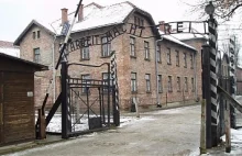 Doktor House w Auschwitz