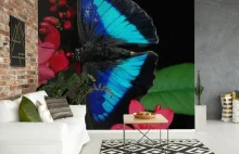 Pomysły na aranżacje wnętrz z motylami