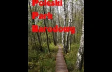 Wyprawy z Blackiem - Poleski Park Narowowy szlak ,,Spławy''