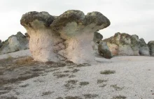 The Giant Stone Mushrooms of Beli Plast