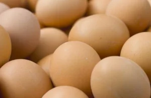 GIS: niebezpieczne jajka z Biedronki. Część partii wycofana ze sprzedaży