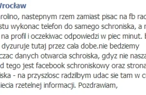 Zwierzę ze schroniska? Pewnie, ale radź sobie sam! - CaroBeauty