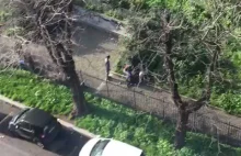 Rzym: 4 inżynierów w biały dzień w parku brutalnie napada przechodnia.