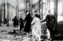 71 lat temu we Lwowie Niemcy dokonali zbrodni na polskich profesorach