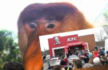 300 kubełków po 1 zł! Ludzie szturmem obalili baner na otwarciu KFC pod...