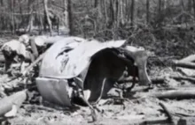 09.05.1987. 32 rocznica katastrofy w lesie kabackim; w której zginęły 183 osoby