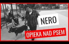 Krzysztof Kononowicz trzyma psa w skandalicznych warunkach na mrozie