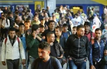 Niemcy: epidemia gwałtów dokonywanych przez imigrantów - Listy z naszego...