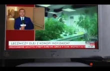 LEGALIZACJA MEDYCZNEJ MARIHUANY