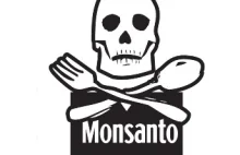 Zgoda na dopuszczenie kukurydzy GMO niezgodna w prawem?
