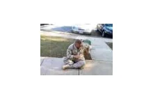 Reakcja psa na powrót żołnierza z Afganistanu