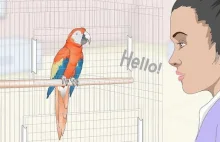 Dlaczego papugi potrafią "mówić"?