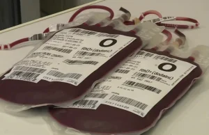 Zespół polskich naukowców pracuje nad wynalezieniem sztucznej krwi