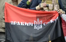 Demonstracje z flagami AON-UPA w Hucie Pieniackiej to prowokacje