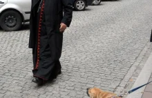 Komu się kłania Kardynał Dziwisz? Zwycięzca w "Prasowym Zdjęciu Roku 2011"