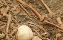 Archeologiczna sensacja w Szampanii. Zbiorowy grób z epoki neolitu