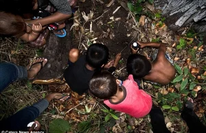 Dzieci jedzące złapane przez siebie pająki w Kambodży