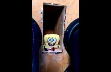 Spongebob bass pants