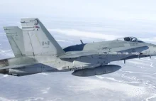 Kanadyjskie Hornety przylecą do Polski
