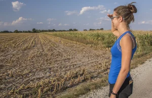 Kobieta na wsi: Kocham wieś i wszystko co z nią związane