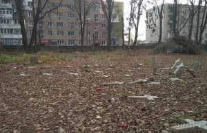 Na Ukrainie wandale zniszczyli polski cmentarz [+FOTO