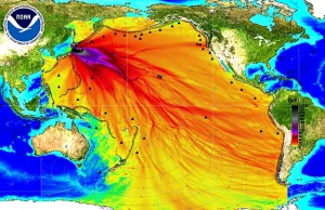 Fukushima „Promieniowanie 100-krotnie przekroczyło śmiertelną dawkę