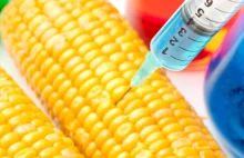 Wielkie zwycięstwo lobbystów GMO - Komisja Środowiska domaga się GMO wszędzie!