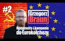 Remanenty i kampania do Eurokołchozu. Grzegorz Braun.