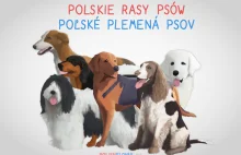 Polskie rasy psów - wpis polsko-słowacki