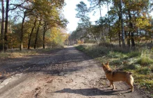 NIEISTNIEJĄCA GOSPODA - "Kapuściany Dom" Roberta Schmidta