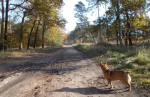 NIEISTNIEJĄCA GOSPODA - "Kapuściany Dom" Roberta Schmidta