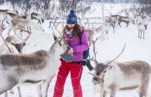 Wizyta u Saamów i zaprzęg reniferowy na północy Norwegii