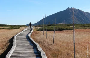 Szlak na Śnieżkę w Google Street View!