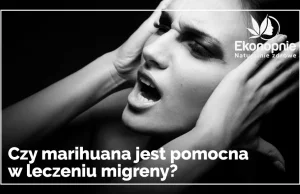 Czy marihuana jest pomocna w leczeniu migreny? •