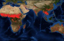 Australia płonie. Afryka ma większy problem. Świat milczy.