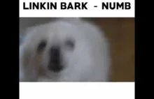 Linkin Bark - Numb