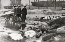 Blokada Leningradu. Jak doszło do jednej z największych masakr XX wieku?