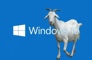 Nie bądź kozą - zobacz jak przyśpieszyć Windows 10 ;)