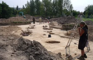 Odejść powinno pokolenie archeologów z PRL