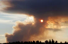 Pożary lasów w Szwecji nie ustępują. Ewakuacja mieszkańców