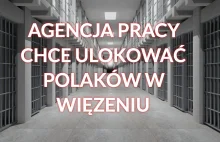 Holandia: Agencja pracy chce ulokować pracowników z Polski w byłym...