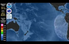Animacja fal tsunami, które powstały na skutek trzęsienia ziemi w Chile.