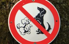 Zniesiono zakaz wprowadzania psów na place zabaw