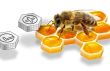 Polska aplikacja wykryje groźne choroby u pszczół