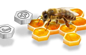 Polska aplikacja wykryje groźne choroby u pszczół