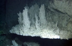 Kominy hydrotermalne dają pewność na występowanie życia?