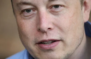 Ludzie atakują Elona Muska za to, że ten trolluje Porsche na Twitterze