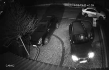 Katowice: W 40 sekund ukradli nowe Audi A6 [WIDEO z monitoringu]